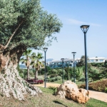 Imagen 1 de Edificio Viviendas en Venta en Estepona Málaga