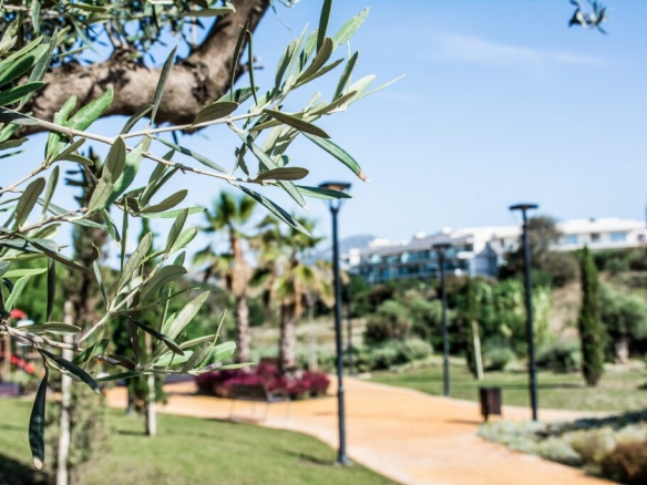 Imagen 3 de Edificio Viviendas en Venta en Estepona Málaga