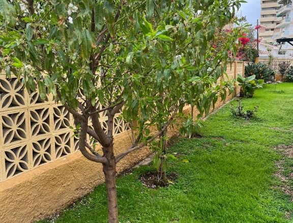 Imagen 3 de Casa-Chalet en Venta en Rincon De La Victoria Málaga