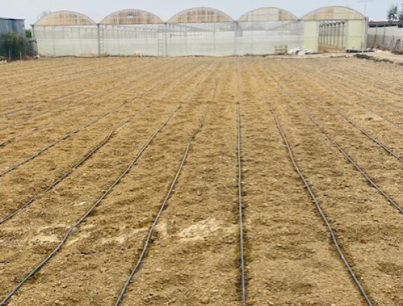 Imagen 2 de Suelo rústico en Venta en Sanlucar De Barrameda Cádiz