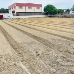 Imagen 1 de Suelo rústico en Venta en Sanlucar De Barrameda Cádiz