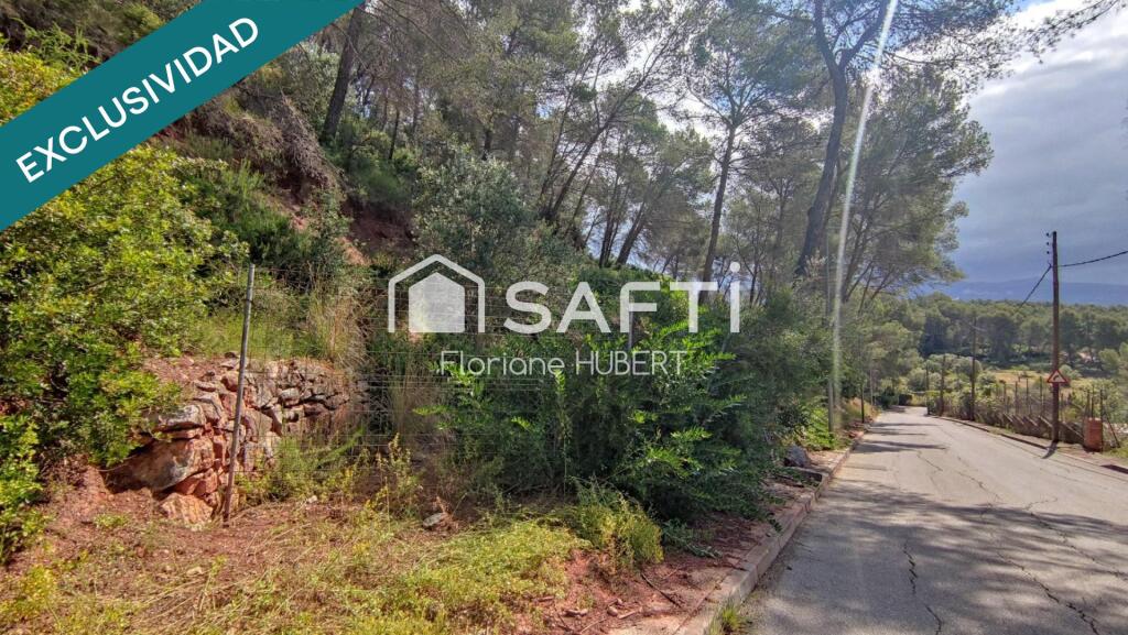 Imagen 3 de TERRENO DE 4215M2 EDIFICABLE EN CERVELLO.