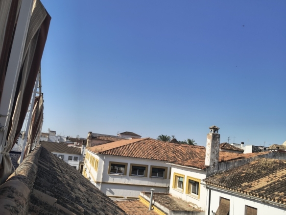 Imagen 2 de Casa-Chalet en Venta en Córdoba Córdoba SAN PEDRO