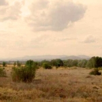 Imagen 1 de TERRENO URBANIZABLE EN DESARROLLO - El Club del Propietario Imagen 1 de TERRENO URBANIZABLE EN DESARROLLO