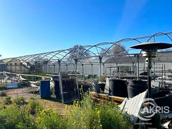 Imagen 3 de Terreno en venta