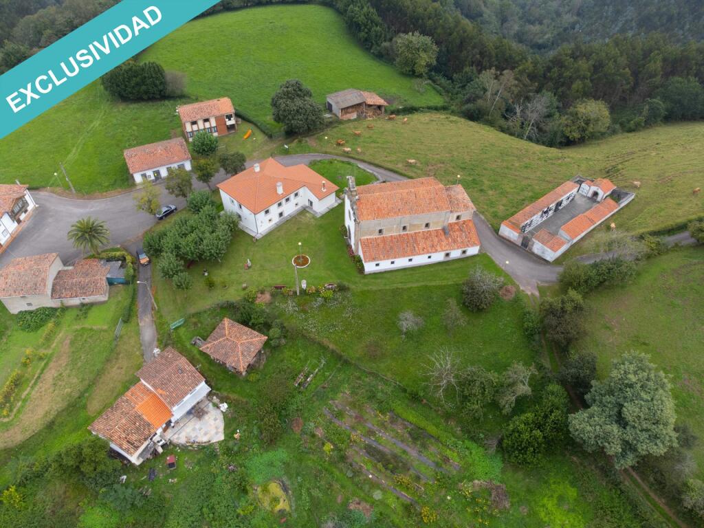 Imagen 2 de Finca rústica edificable con orientación Sur