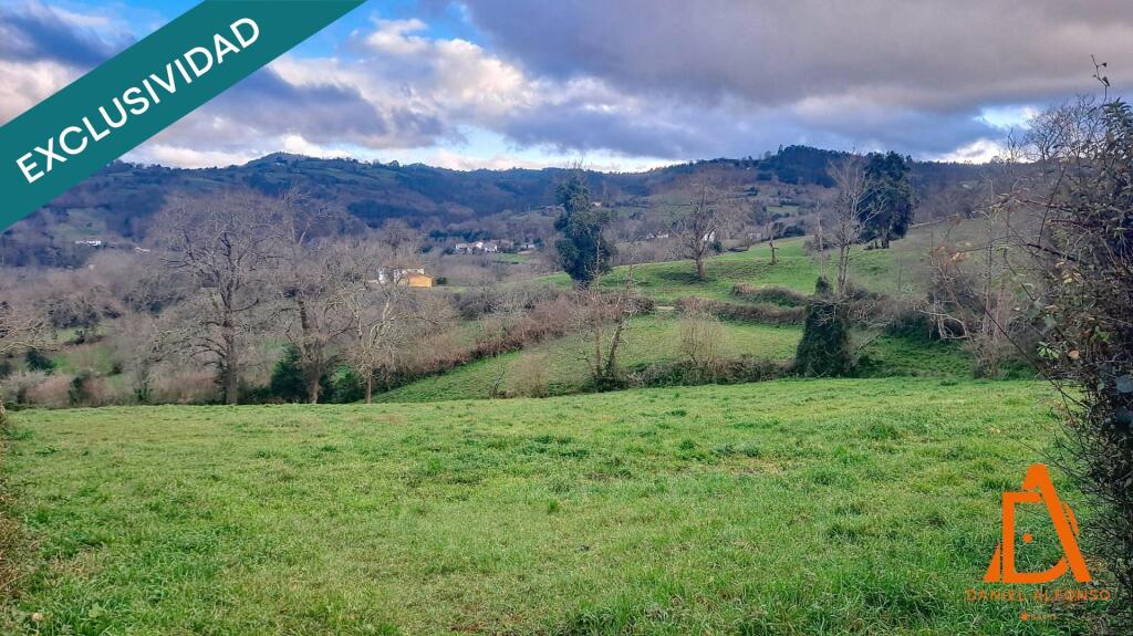 Imagen 2 de FINCA a solo 10 minutos de Villaviciosa