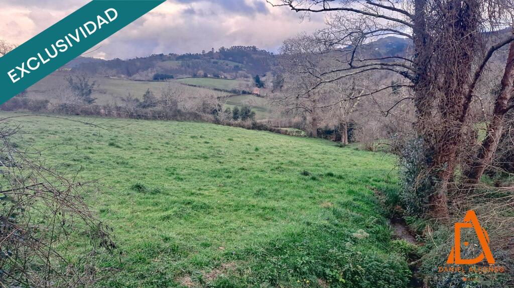 Imagen 3 de FINCA a solo 10 minutos de Villaviciosa