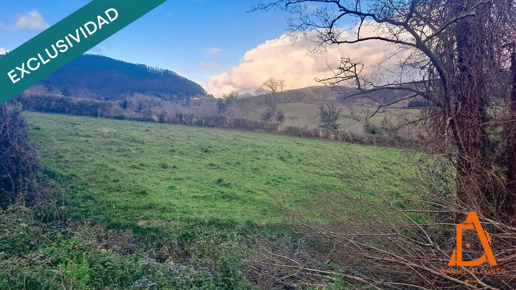 Imagen 4 de FINCA a solo 10 minutos de Villaviciosa