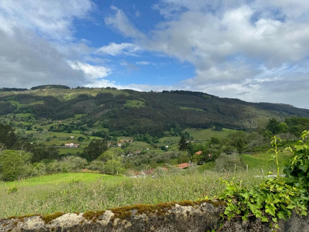 Imagen 3 de El lugar donde los fines de semana tienen sentido