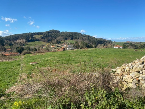 Imagen 4 de Oportunidad de Suelo para Promoción Residencial Oreña