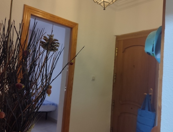 Imagen 1 de Piso en Alquiler en Albacete Albacete