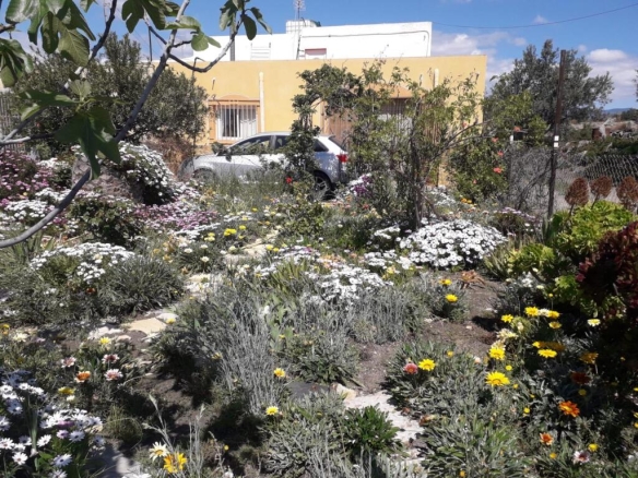 Imagen 3 de Casa de campo-Masía en Venta en Tabernas Almería