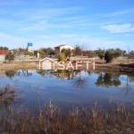 DISFRUTA DE ESTA MARAVILLA ! . Un campo precioso, cuidado con mimo, donde olivos en plena producción conviven con una encantadora casita y una serena charca por 45000€