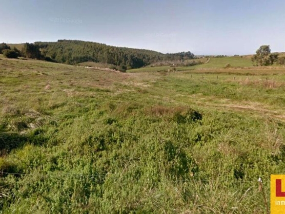 Imagen 4 de Suelo rústico de 1.2 hectareas en Miengo