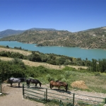 Imagen 1 de Casa de campo-Masía en Venta en Montecorto Málaga