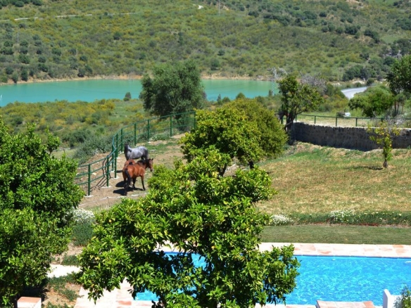 Imagen 4 de Casa de campo-Masía en Venta en Montecorto Málaga