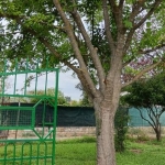 Imagen 1 de Casa-Chalet en Venta en Belvis De Monroy Cáceres - El Club del Propietario Imagen 1 de Casa-Chalet en Venta en Belvis De Monroy Cáceres