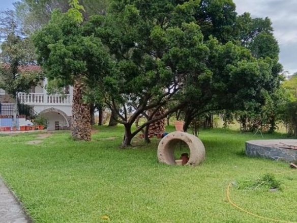 Imagen 3 de Casa-Chalet en Venta en Belvis De Monroy Cáceres