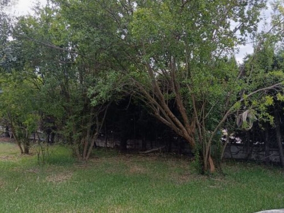 Imagen 4 de Casa-Chalet en Venta en Belvis De Monroy Cáceres