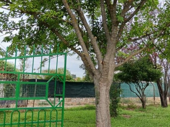 Imagen 1 de Casa-Chalet en Venta en Belvis De Monroy Cáceres