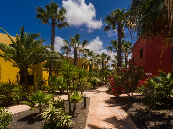 Imagen 3 de Piso en Alquiler vacacional en Corralejo Las Palmas