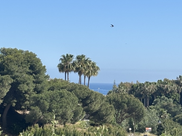 El (Fuengirola) Málaga