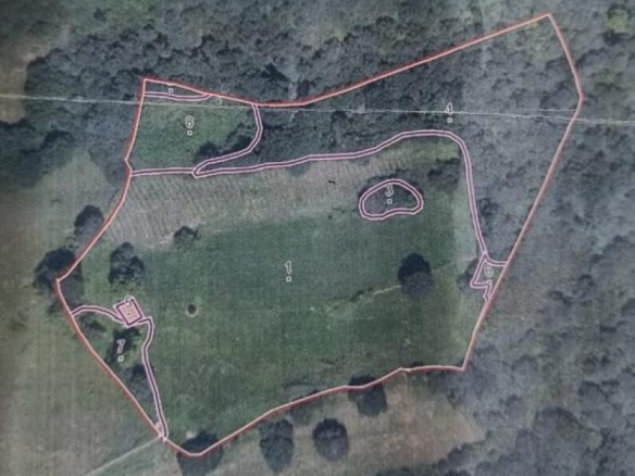 Imagen 2 de Finca rústica con cabaña y bosque autóctono