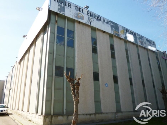 Imagen 2 de NAVE INDUSTRIAL EN AV. ANDALUCIA EN BARRIO DE VILLAVERDE