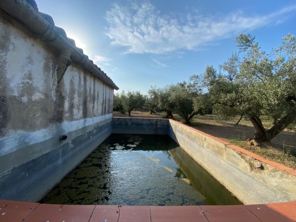 Imagen 4 de Fantástica finca con casa en la Miliana