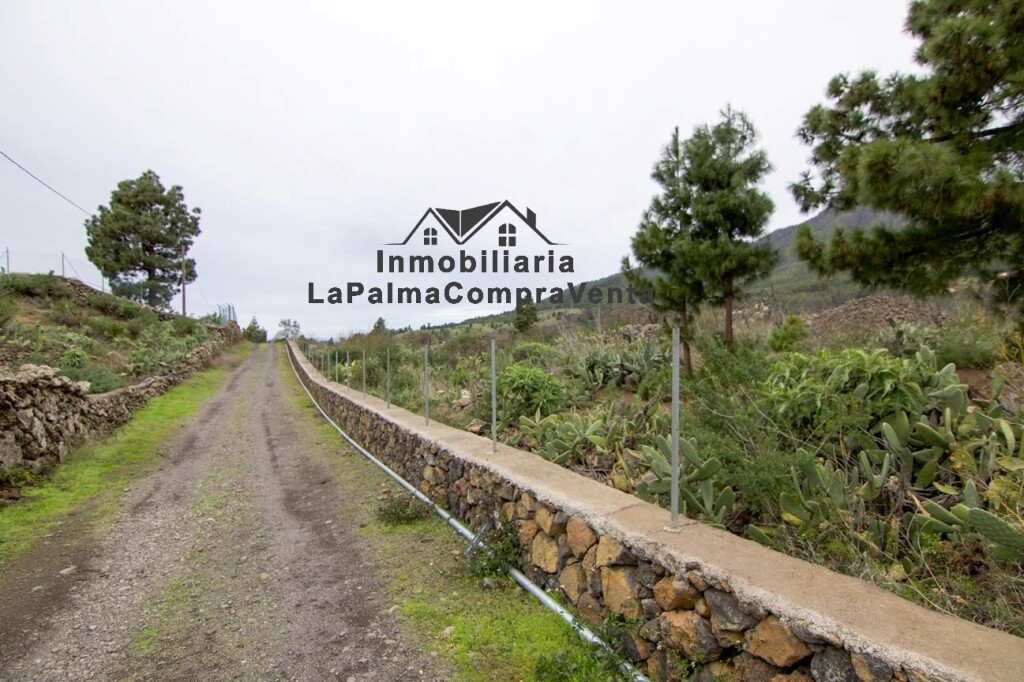 Imagen 2 de Solar residencial en Venta en Paso