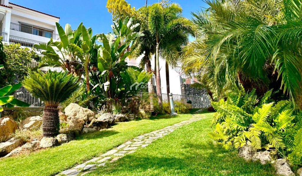 Imagen 3 de Apartamento en Venta en Adeje Santa Cruz de Tenerife