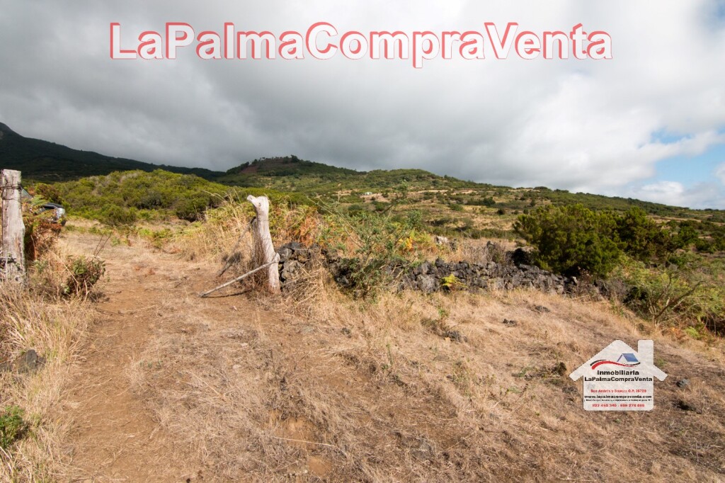 Imagen 3 de Suelo rústico en Venta en Villa De Mazo Santa Cruz de Tenerife
