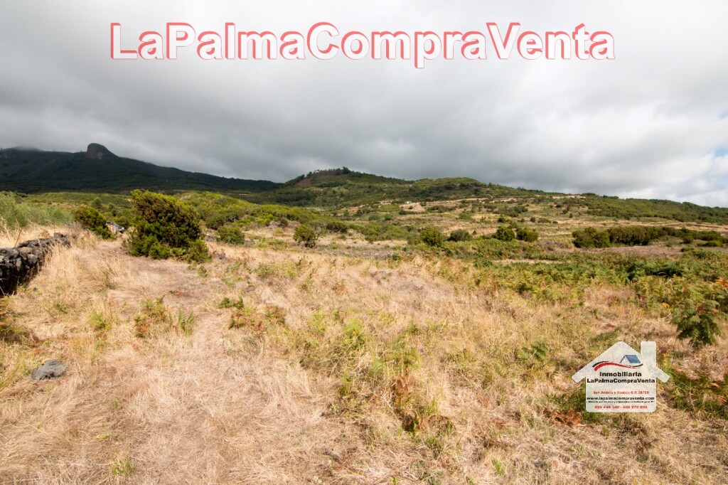 Imagen 4 de Suelo rústico en Venta en Villa De Mazo Santa Cruz de Tenerife