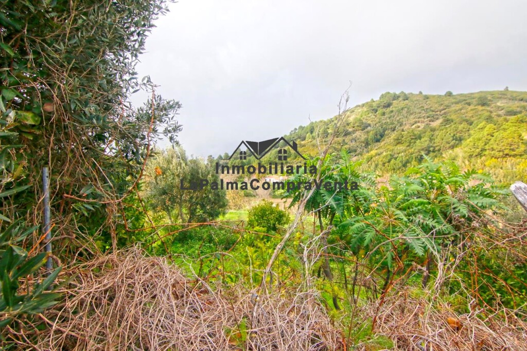 Imagen 3 de Casa-Chalet en Venta en Llano Negro Santa Cruz de Tenerife