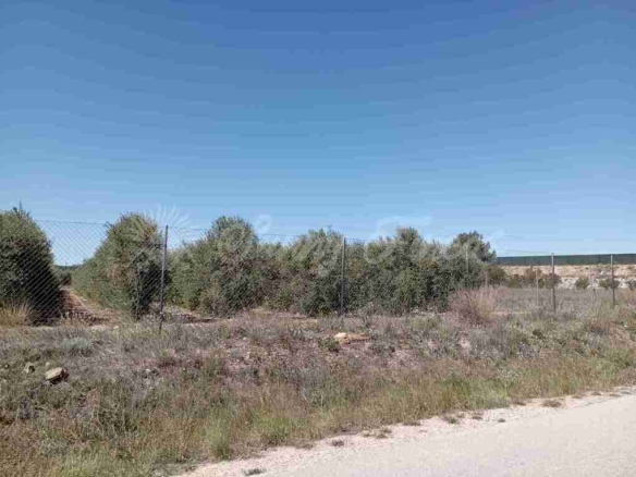Imagen 3 de Suelo urbanizable en Venta en Caudete Albacete