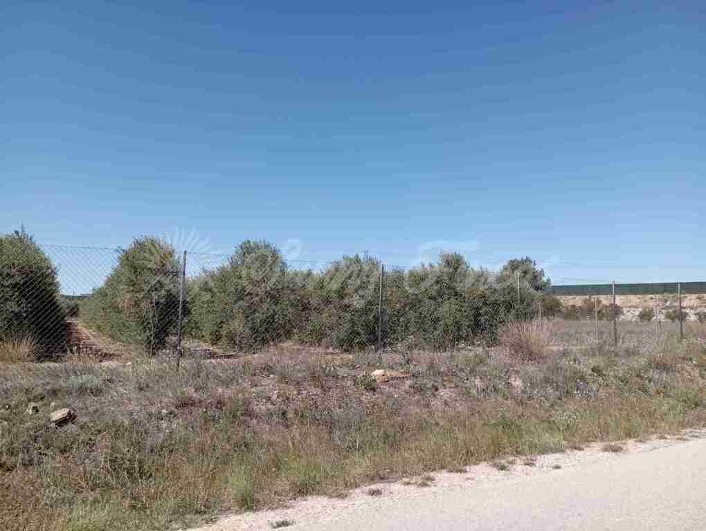 Imagen 3 de Suelo urbanizable en Venta en Caudete Albacete