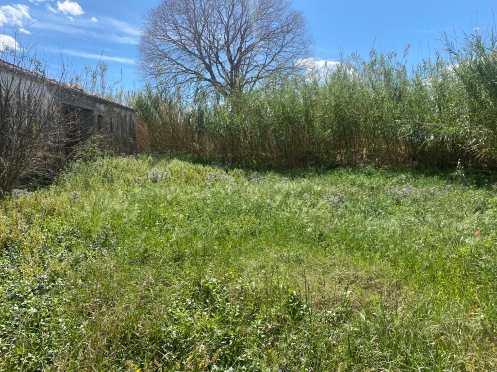 Imagen 4 de Estupenda finca para rehabilitar a menos de 1km de Tortosa
