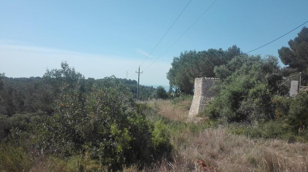 Imagen 4 de Suelo rústico en Venta en Tarragona Tarragona