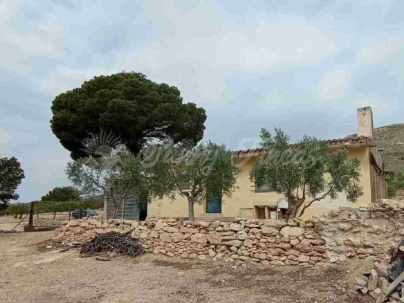 Imagen 3 de Casa de campo-Masía en Venta en Caudete Albacete