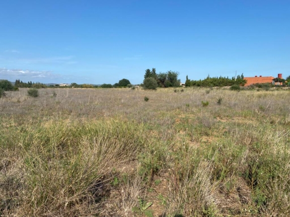 Imagen 4 de Encantadora casa de piedra bien comunicada