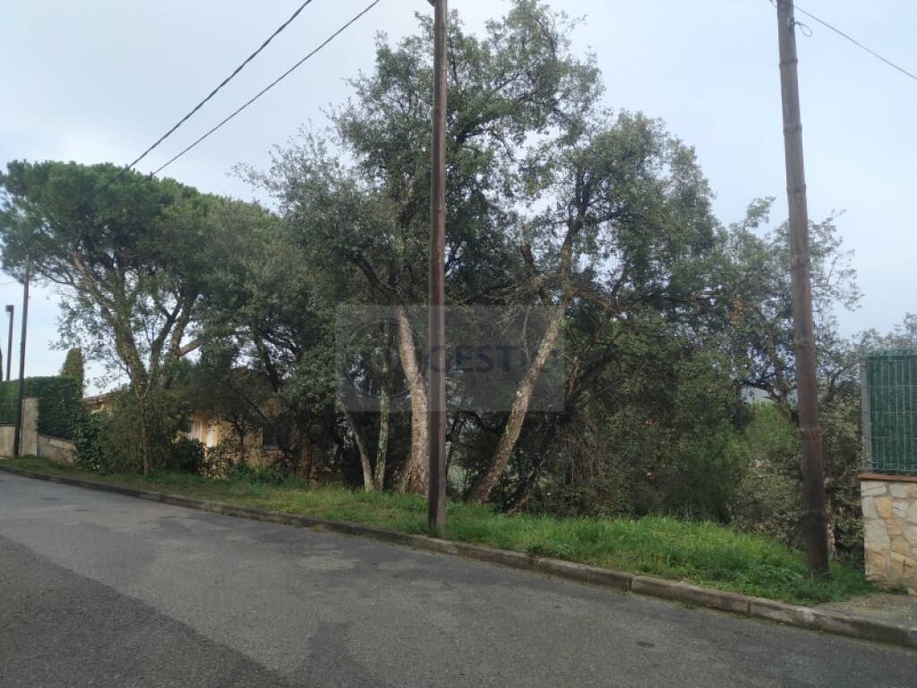 Imagen 4 de Parcela en Venta en Calonge Girona