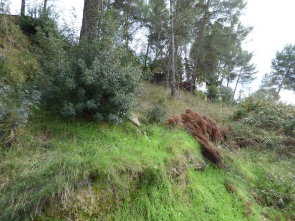 Imagen 3 de TERRENO URBANIZABLE CON IMPRESIONANTES VISTAS EN CASTELLGALÍ