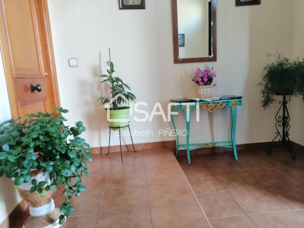 Imagen 3 de PISO EN PRIMERA PLANTA