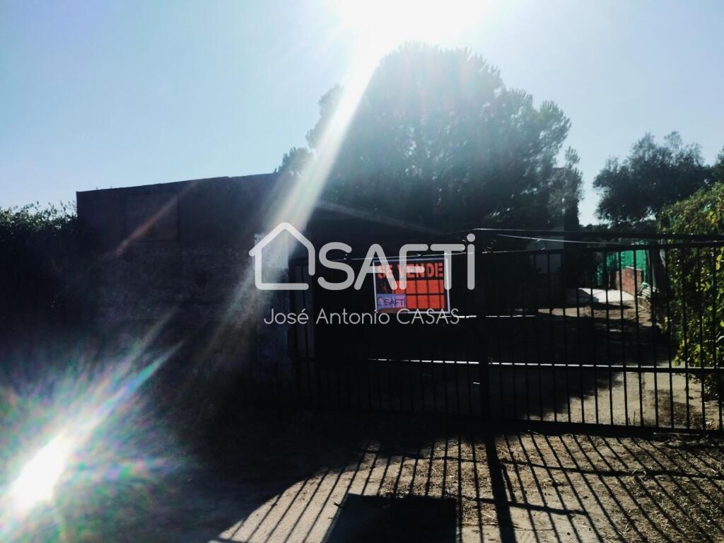 Imagen 2 de Venta de dos Lejíos juntos en la zona de la Zafrilla EL Ejido. Suman 3250m2 con casa y piscina. Excelente relación calidad precio. Mejor ven a verlos. Terreno fértil y con abundante agua.