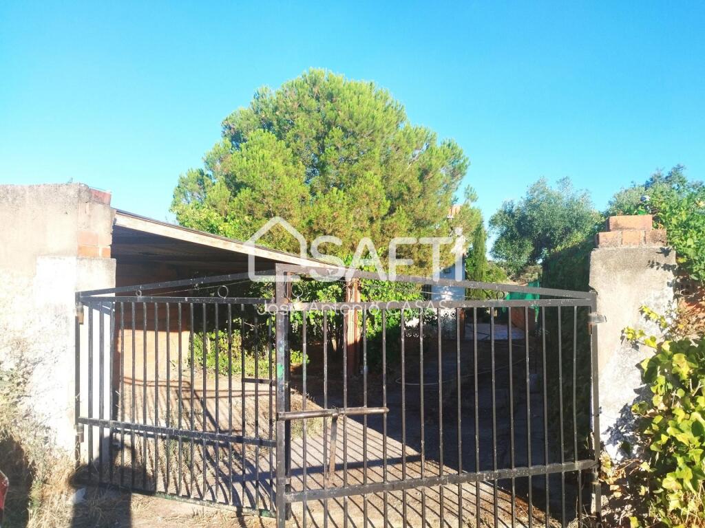 Imagen 4 de Venta de dos Lejíos juntos en la zona de la Zafrilla EL Ejido. Suman 3250m2 con casa y piscina. Excelente relación calidad precio. Mejor ven a verlos. Terreno fértil y con abundante agua.