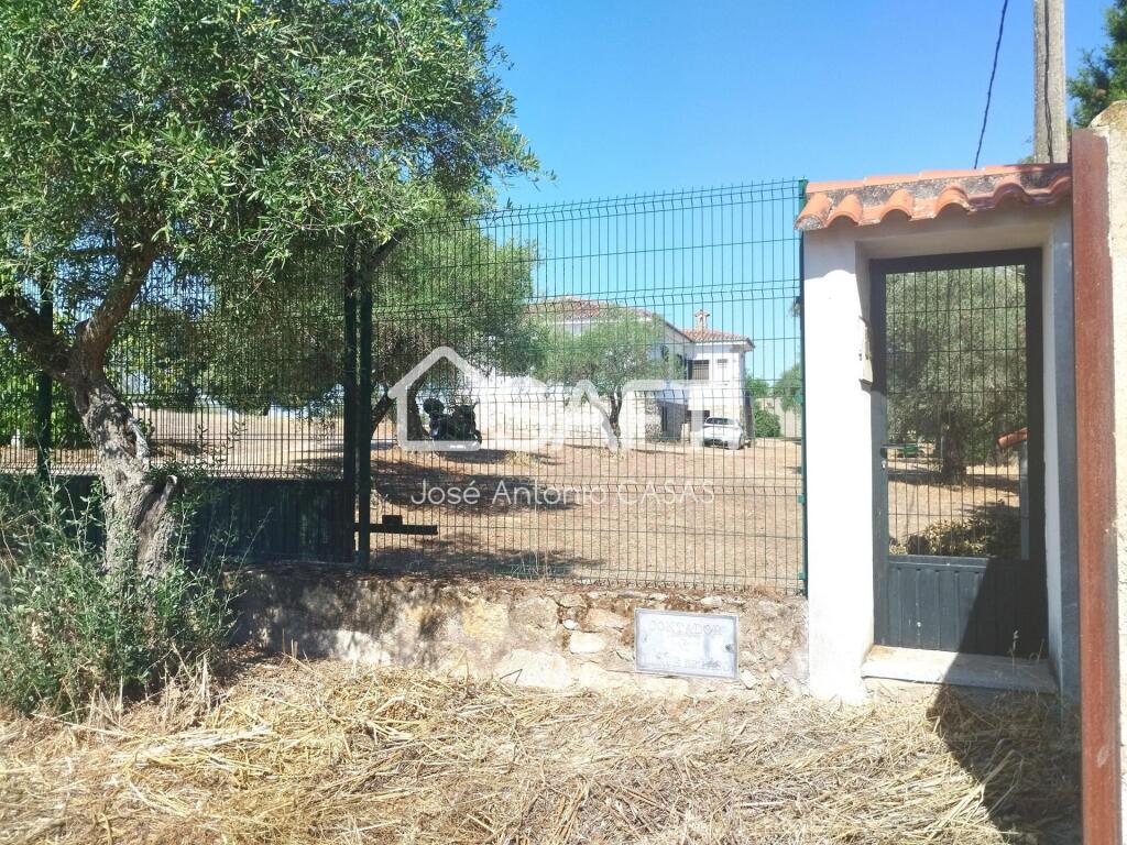 salón con chimenea francesa
