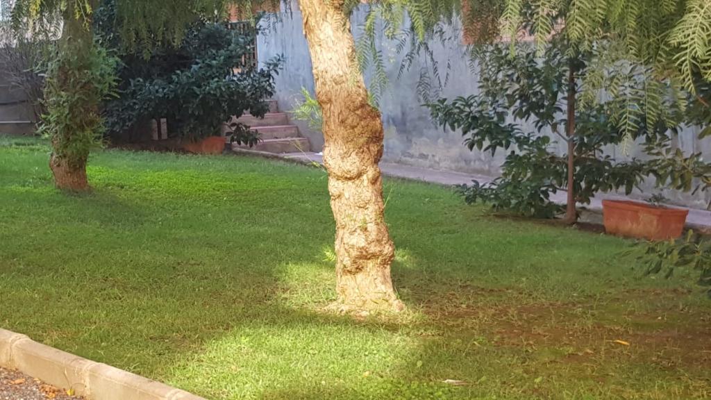 Imagen 4 de Piso en Venta en Tarragona Tarragona