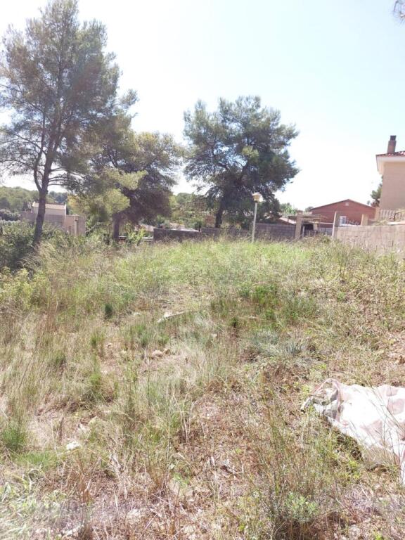 El Tarragona