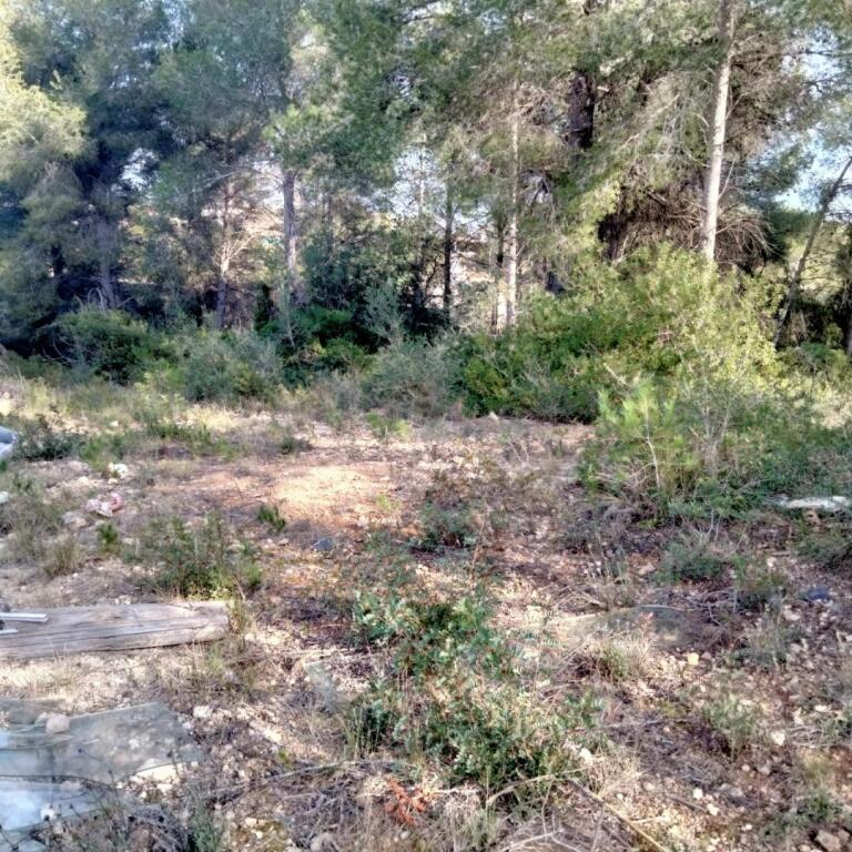 El Tarragona
